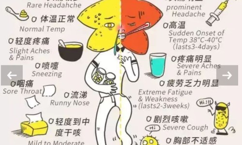 例假期间能否接种宫颈癌疫苗呢-例假期间能否接种宫颈癌疫苗网 :分享例假期间能否接种宫颈癌疫苗第三针-月经期可以打宫颈疫苗针吗知识