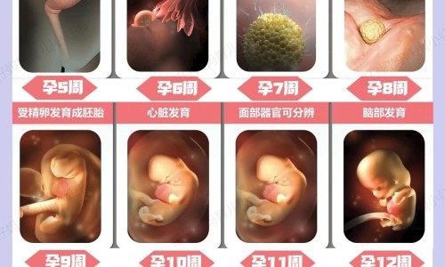 姨妈期间可以打宫颈癌疫苗吗-例假期间能否接种宫颈癌疫苗网 :分享例假期间能否接种宫颈癌疫苗第三针-月经期可以打宫颈疫苗针吗知识